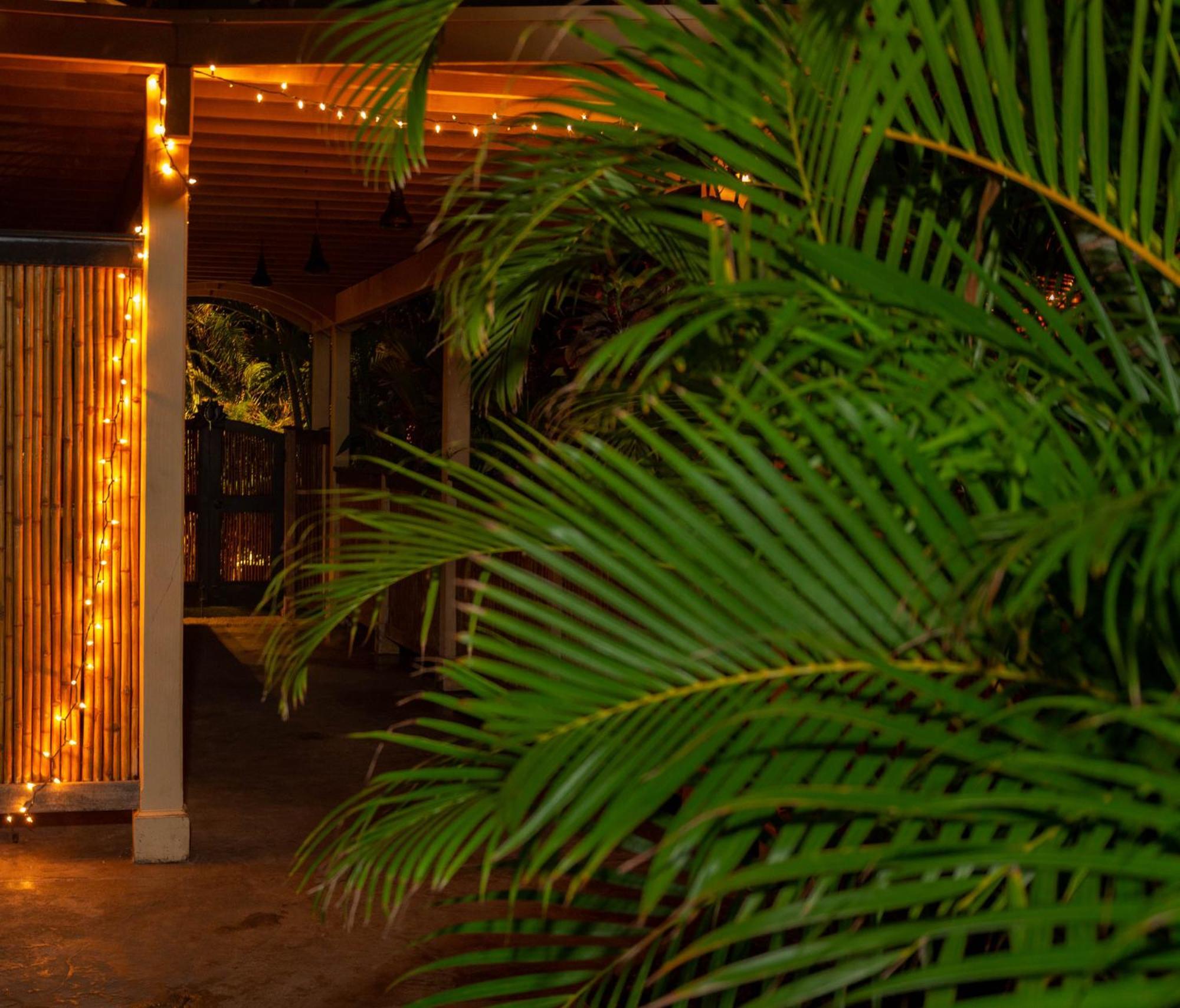 Plumeria Suite, 2-Bedrooms, Sleeps 6, Pool & Bbq, Pre-Renovation Summer Sale Kihei Buitenkant foto